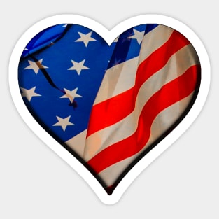 I love USA Sticker
